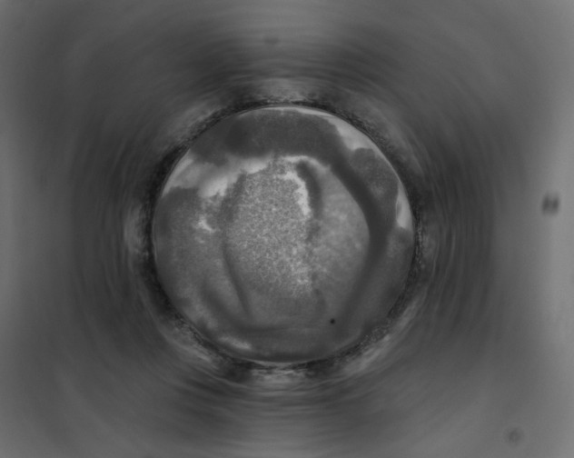 X0000102020359200808081754