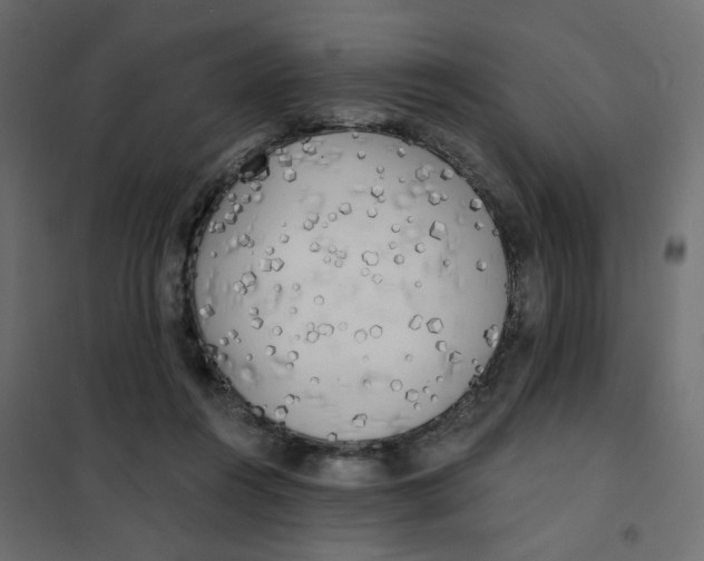 X0000102020360200808081754