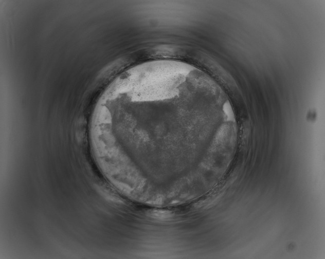 X0000102020361200808081754