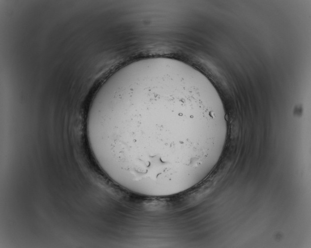 X0000102020362200808081754