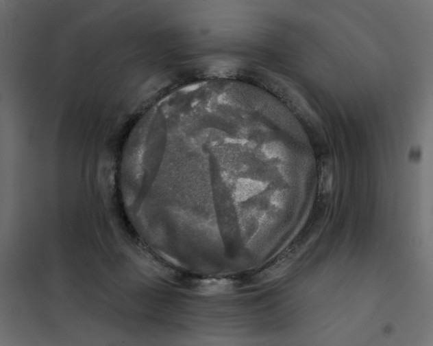 X0000102020363200808081754