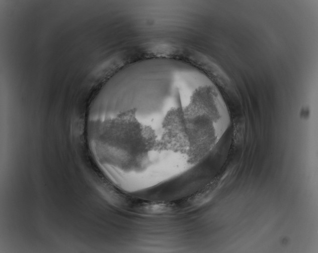 X0000102020365200808081754