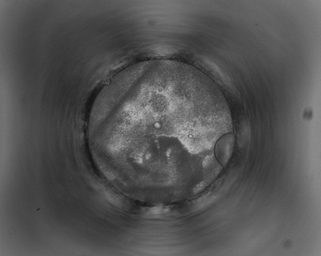 X0000102020366200808081754