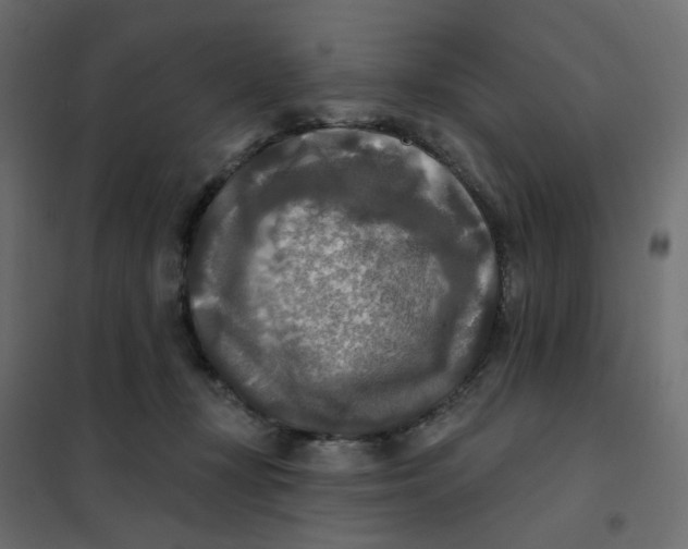 X0000102020367200808081754