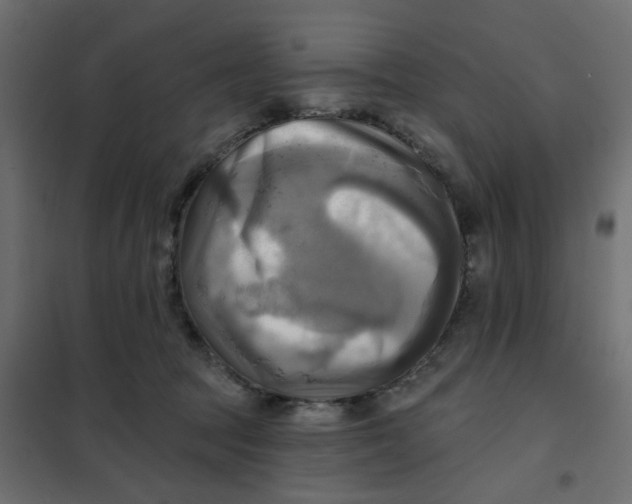 X0000102020369200808081754