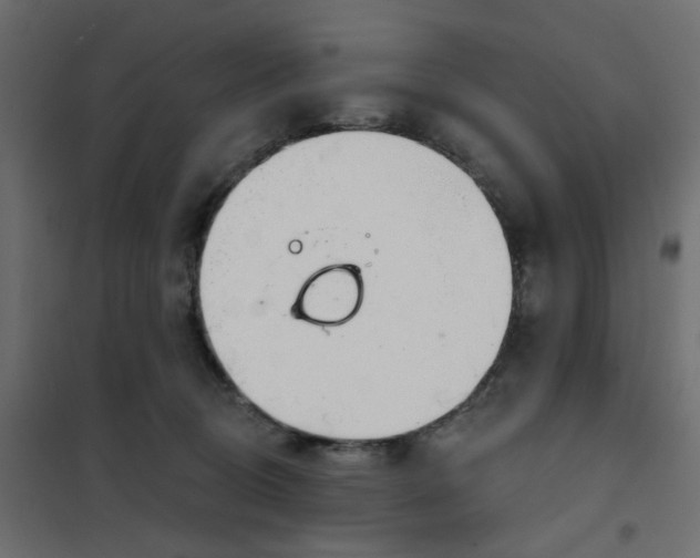 X0000102020370200808081754