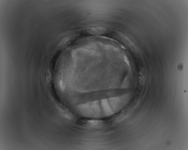 X0000102020371200808081754
