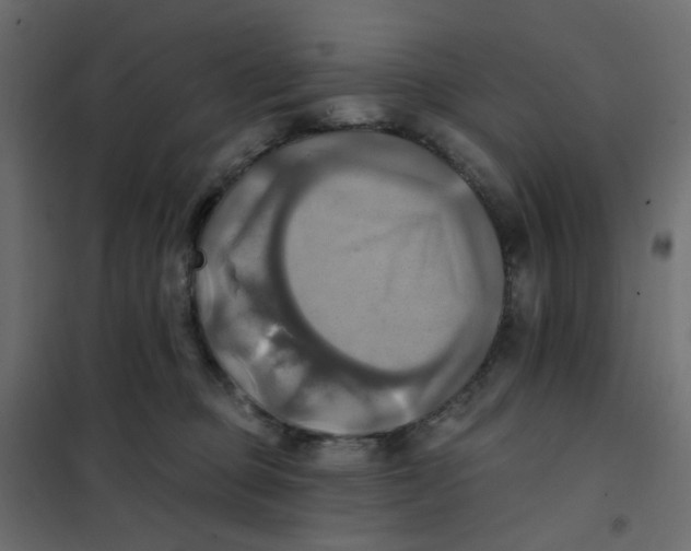 X0000102020373200808081754