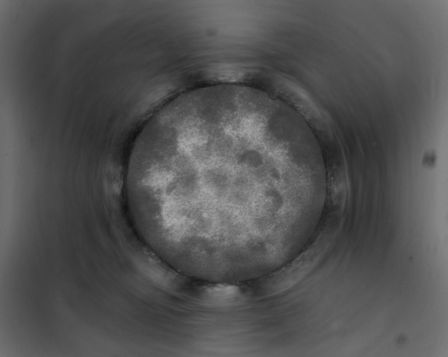 X0000102020374200808081754