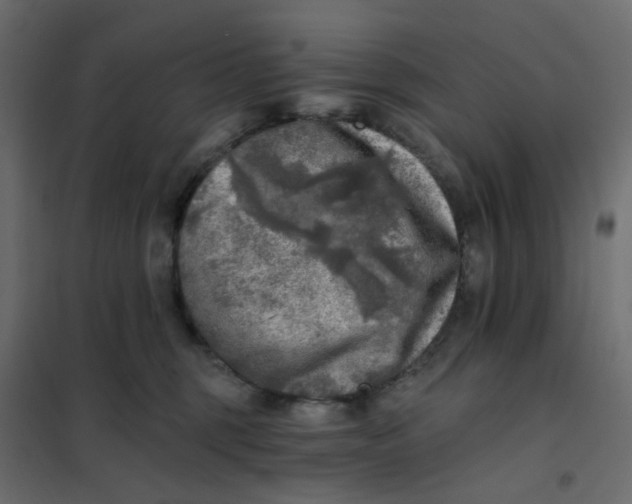 X0000102020375200808081754