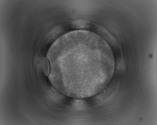 X0000102020376200808081754