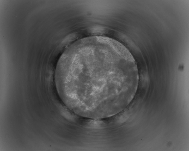 X0000102020379200808081754