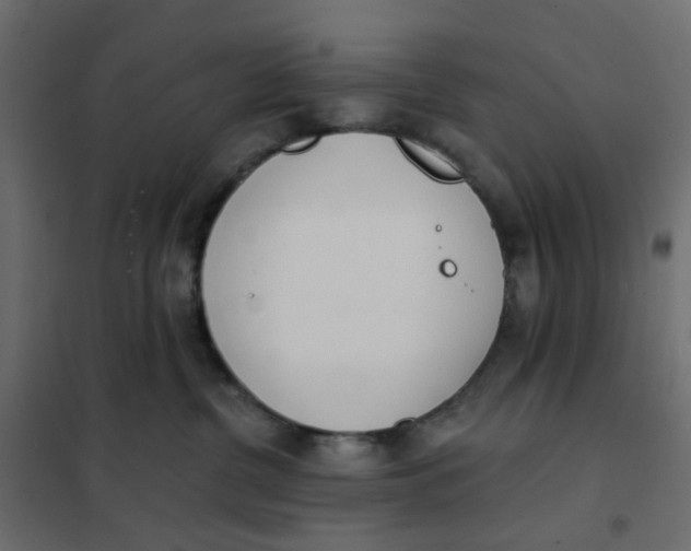 X0000102020380200808081754