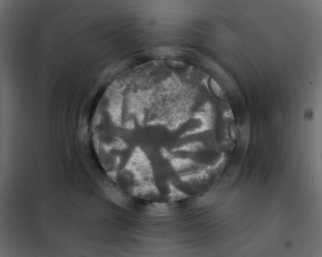 X0000102020381200808081754