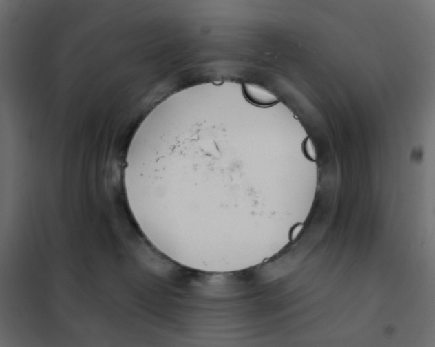X0000102020382200808081754