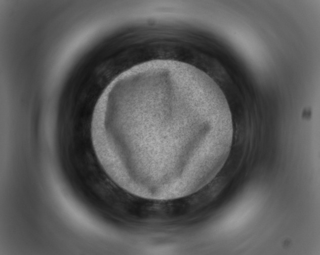 X0000102020383200808081754