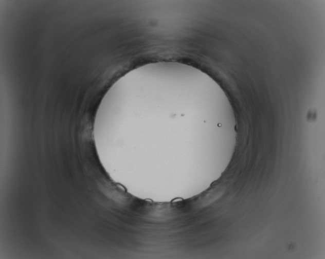 X0000102020384200808081754
