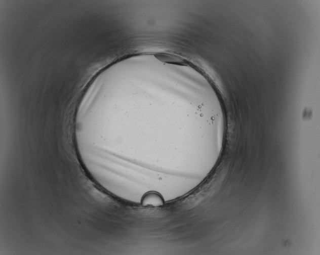 X0000102020385200808081754