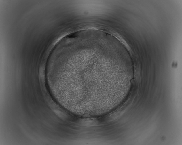 X0000102020386200808081754