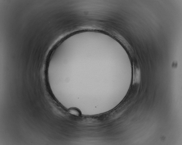 X0000102020387200808081754