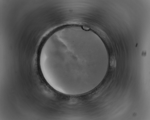 X0000102020388200808081754