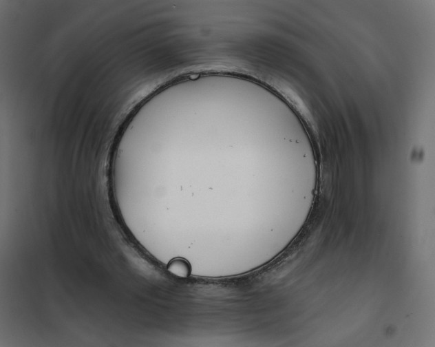 X0000102020389200808081754