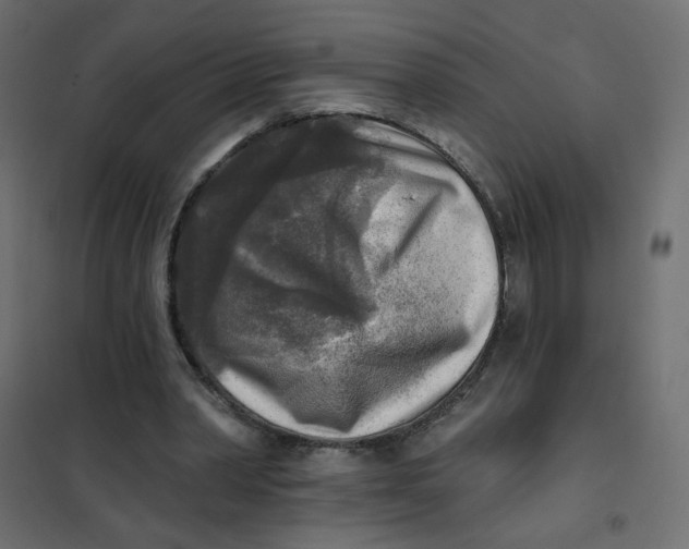X0000102020390200808081754