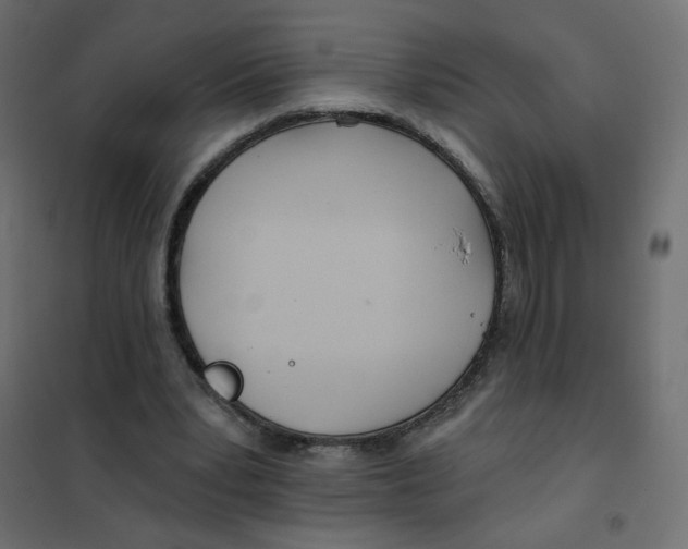 X0000102020391200808081754