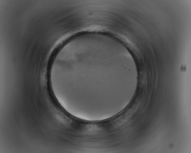 X0000102020392200808081754