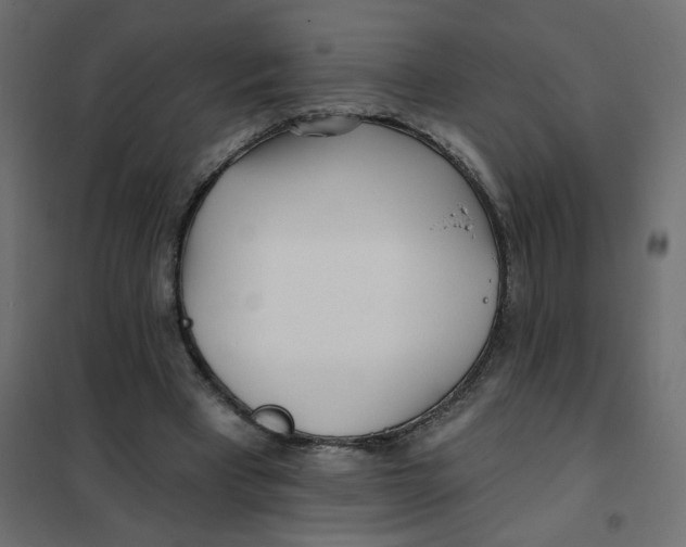 X0000102020393200808081754