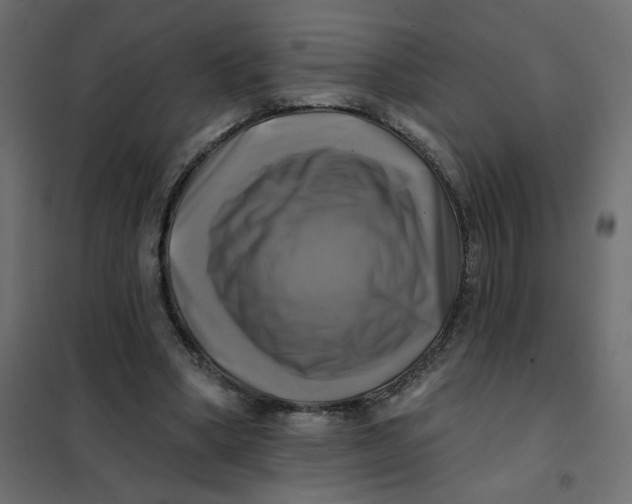 X0000102020394200808081754