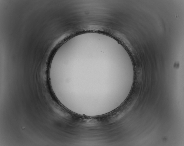 X0000102020395200808081754
