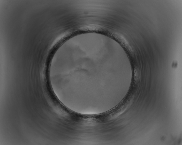 X0000102020396200808081753