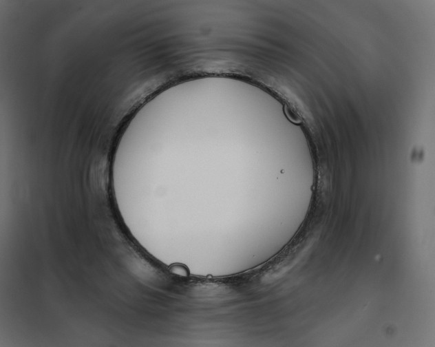 X0000102020397200808081753