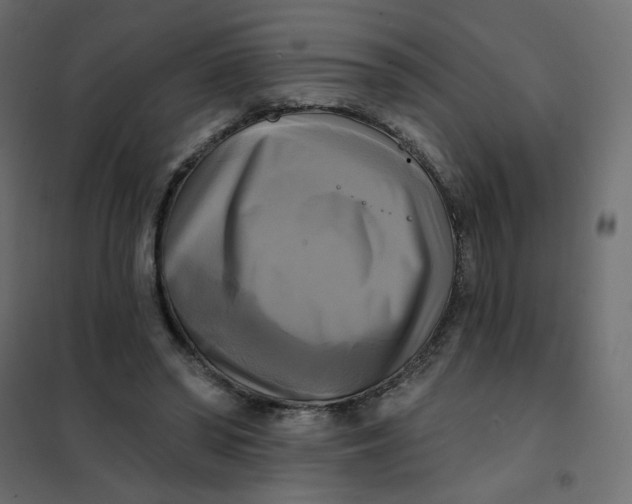 X0000102020398200808081753