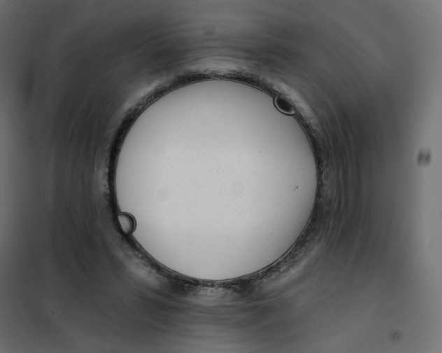 X0000102020399200808081753