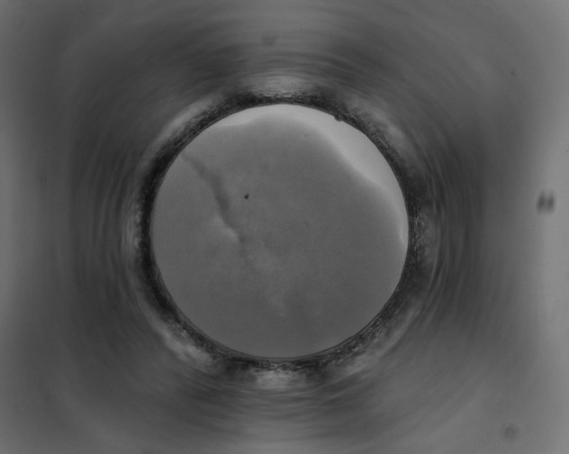 X0000102020400200808081753