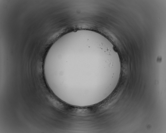X0000102020401200808081753
