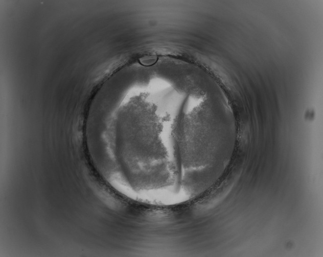 X0000102020402200808081753