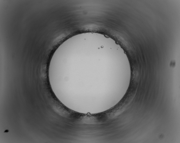 X0000102020403200808081753