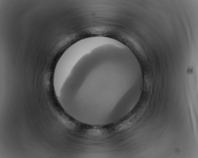 X0000102020404200808081753