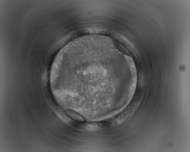 X0000102020405200808081753