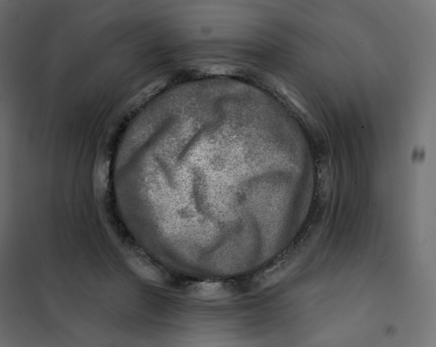 X0000102020406200808081753
