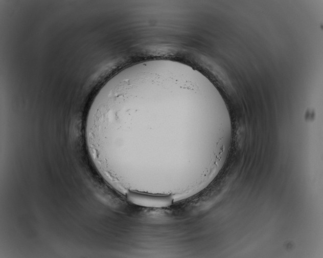X0000102020407200808081753