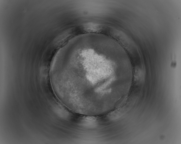 X0000102020409200808081753