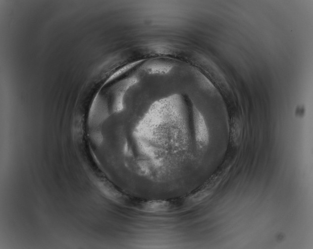 X0000102020410200808081753