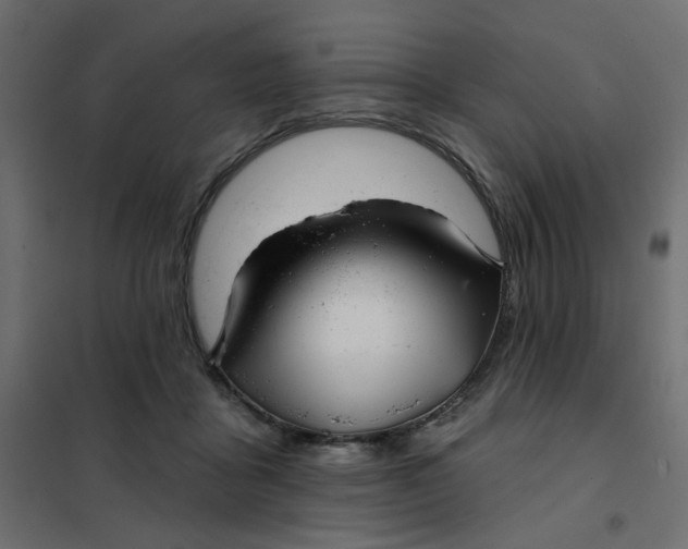 X0000102020411200808081753
