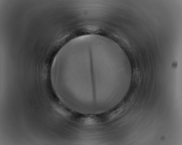 X0000102020412200808081753