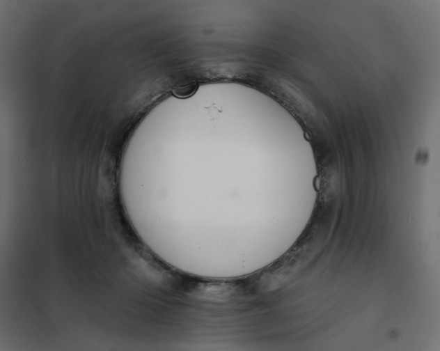 X0000102020414200808081753