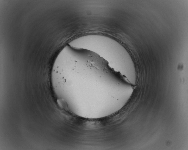 X0000102020415200808081753